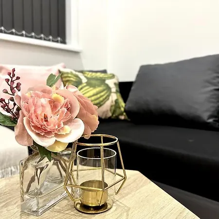 Spacious And Elegant Apartamento Birmingam