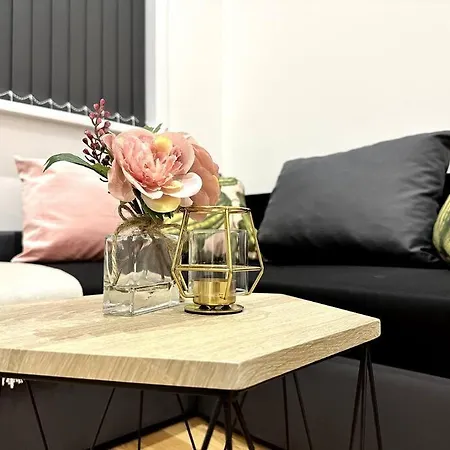 Spacious And Elegant *
